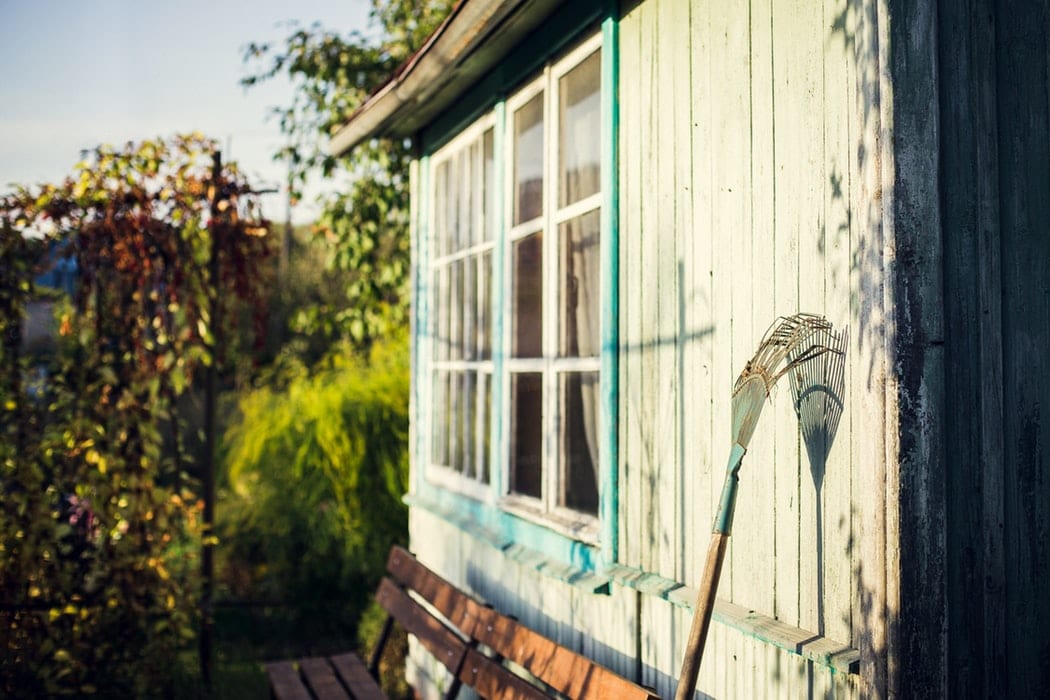 Rake leaning against wall of shed.+