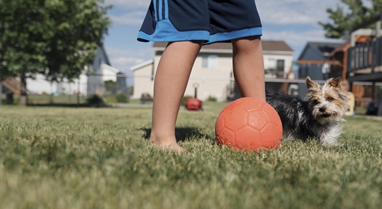 Boy playing with ball with his puppy.