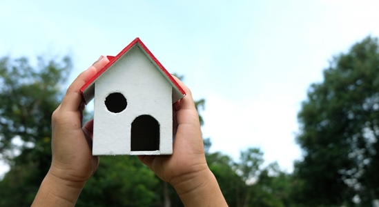 Hands holding wooden bird house.